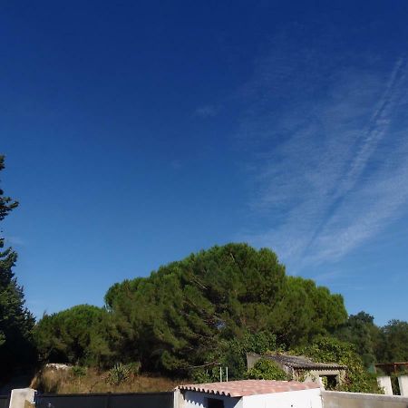 דירות אימארגואס Joli Mazet Entre Montpellier Et Nimes מראה חיצוני תמונה